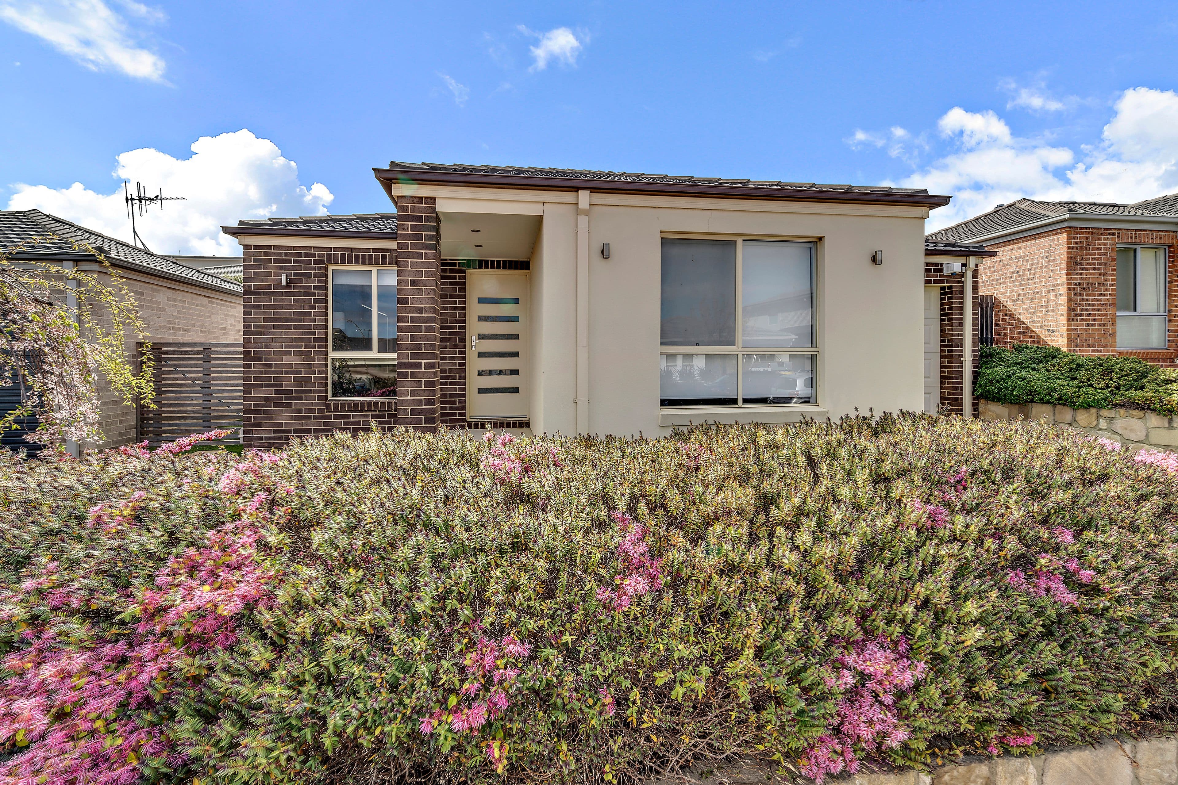 8 Hinde Street, Franklin ACT 2913, Franklin - Image 1