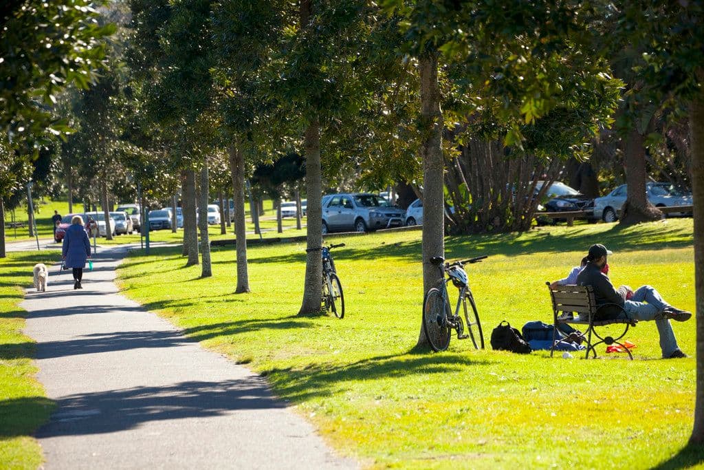 49-51 Cook Road, Centennial Park NSW 2021, Centennial Park - Thumbnail 8