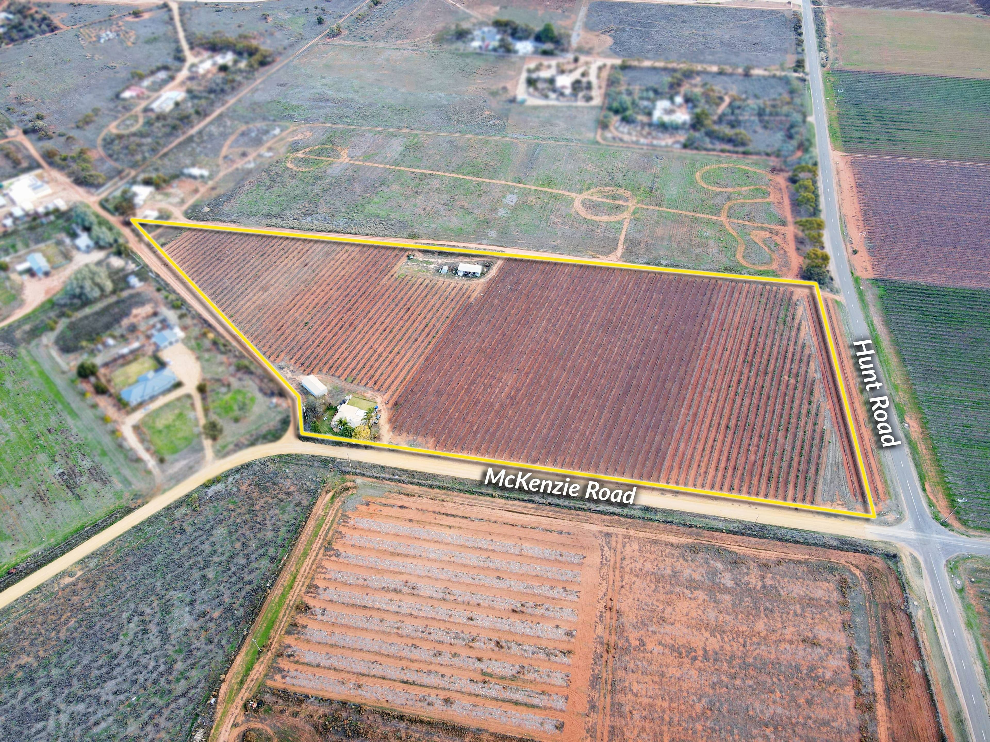 296 Mckenzie Road, Barmera SA 5345, Barmera - Image 1