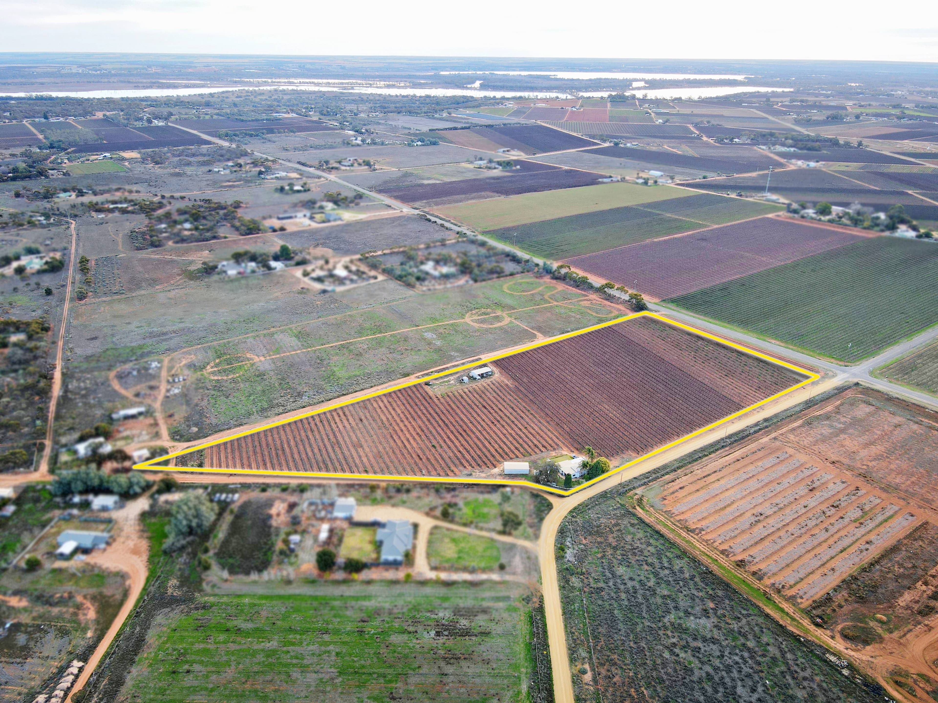 296 Mckenzie Road, Barmera SA 5345, Barmera - Thumbnail 2