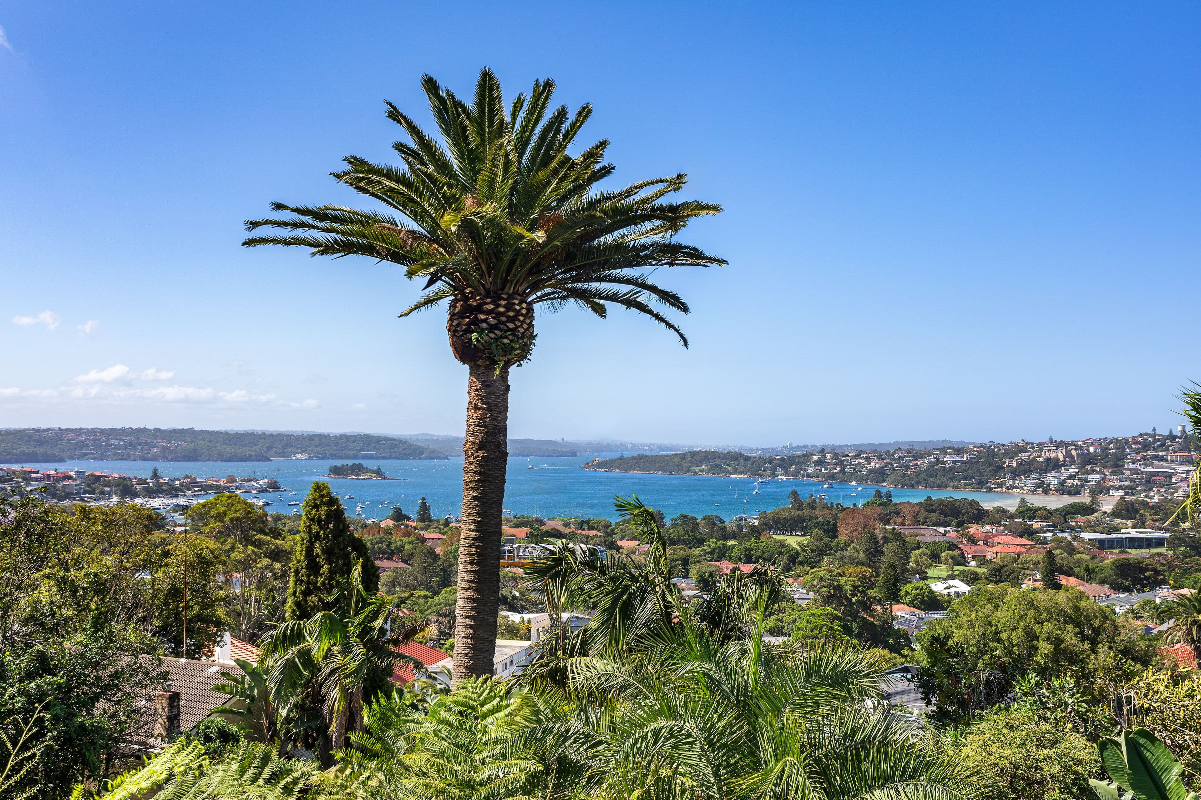 125 Victoria Road, Bellevue Hill NSW 2023, Bellevue Hill - Thumbnail 2
