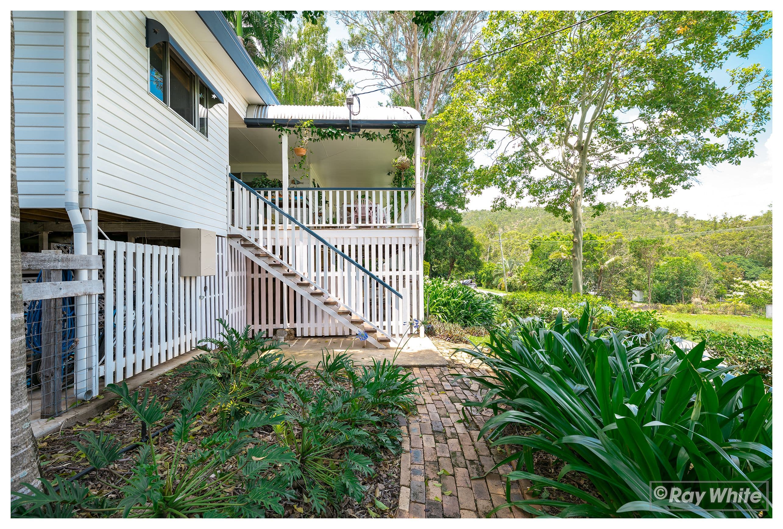 31 Dorly Street, Lakes Creek QLD 4701, Lakes Creek - Thumbnail 4