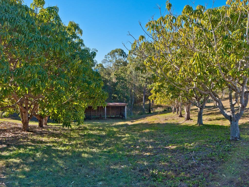3 Mimburi Place, Armstrong Creek QLD 4520, Armstrong Creek - Thumbnail 2