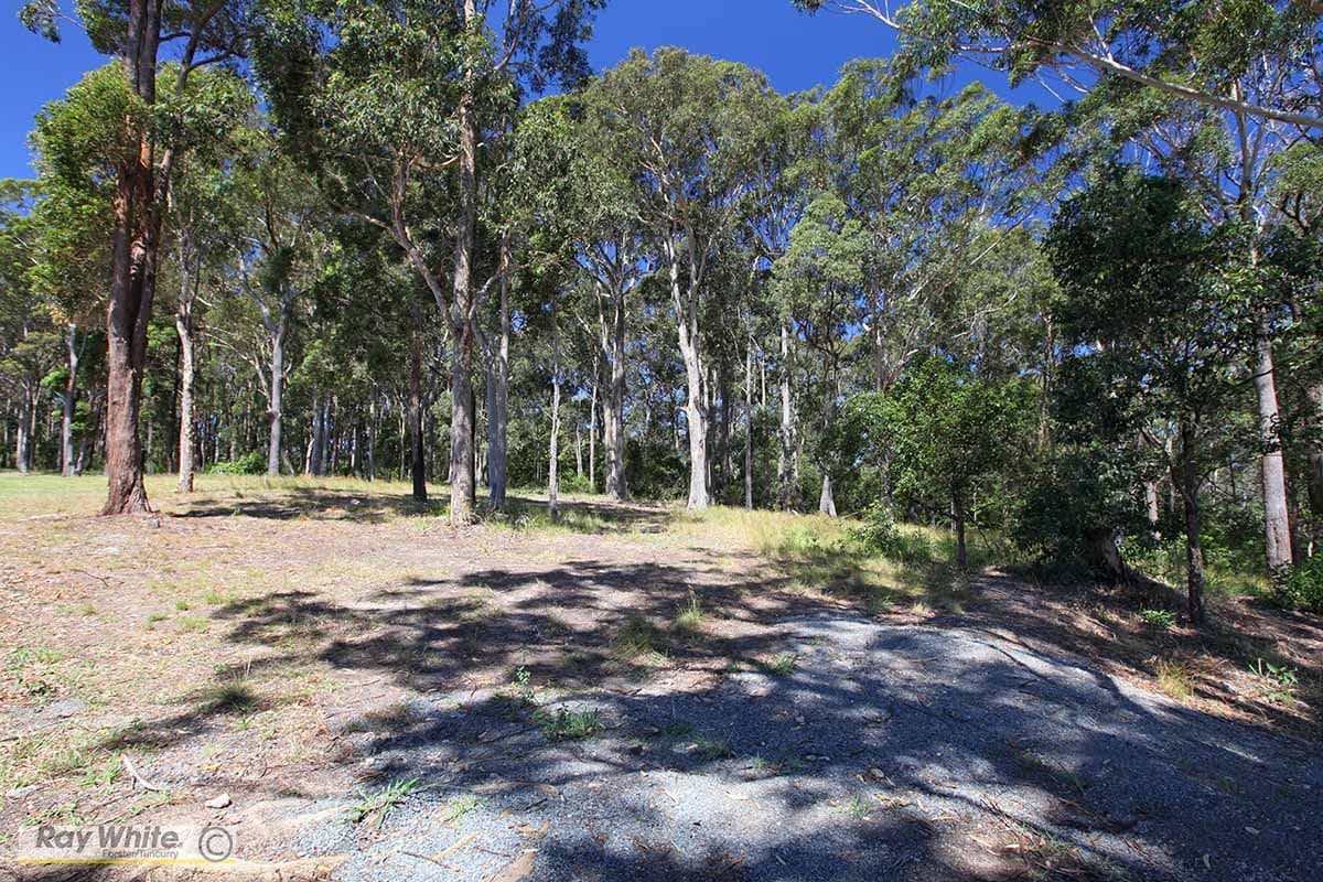 11 Caryota Place, Forster NSW 2428, Forster - Thumbnail 2