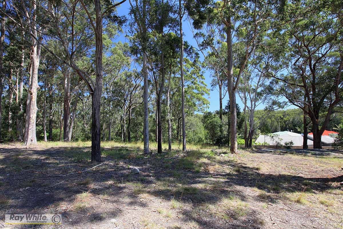 11 Caryota Place, Forster NSW 2428, Forster - Thumbnail 3