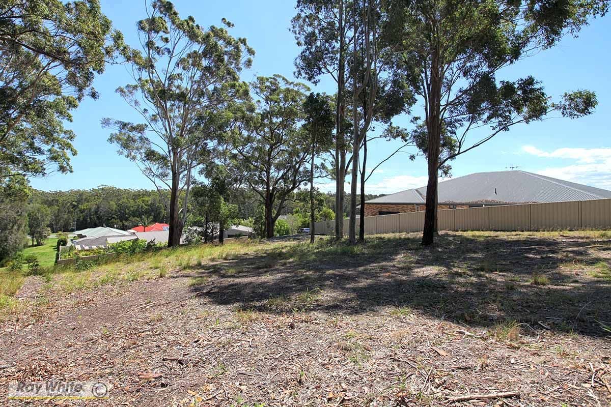 11 Caryota Place, Forster NSW 2428, Forster - Thumbnail 4