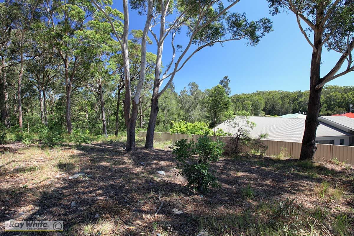 11 Caryota Place, Forster NSW 2428, Forster - Thumbnail 5