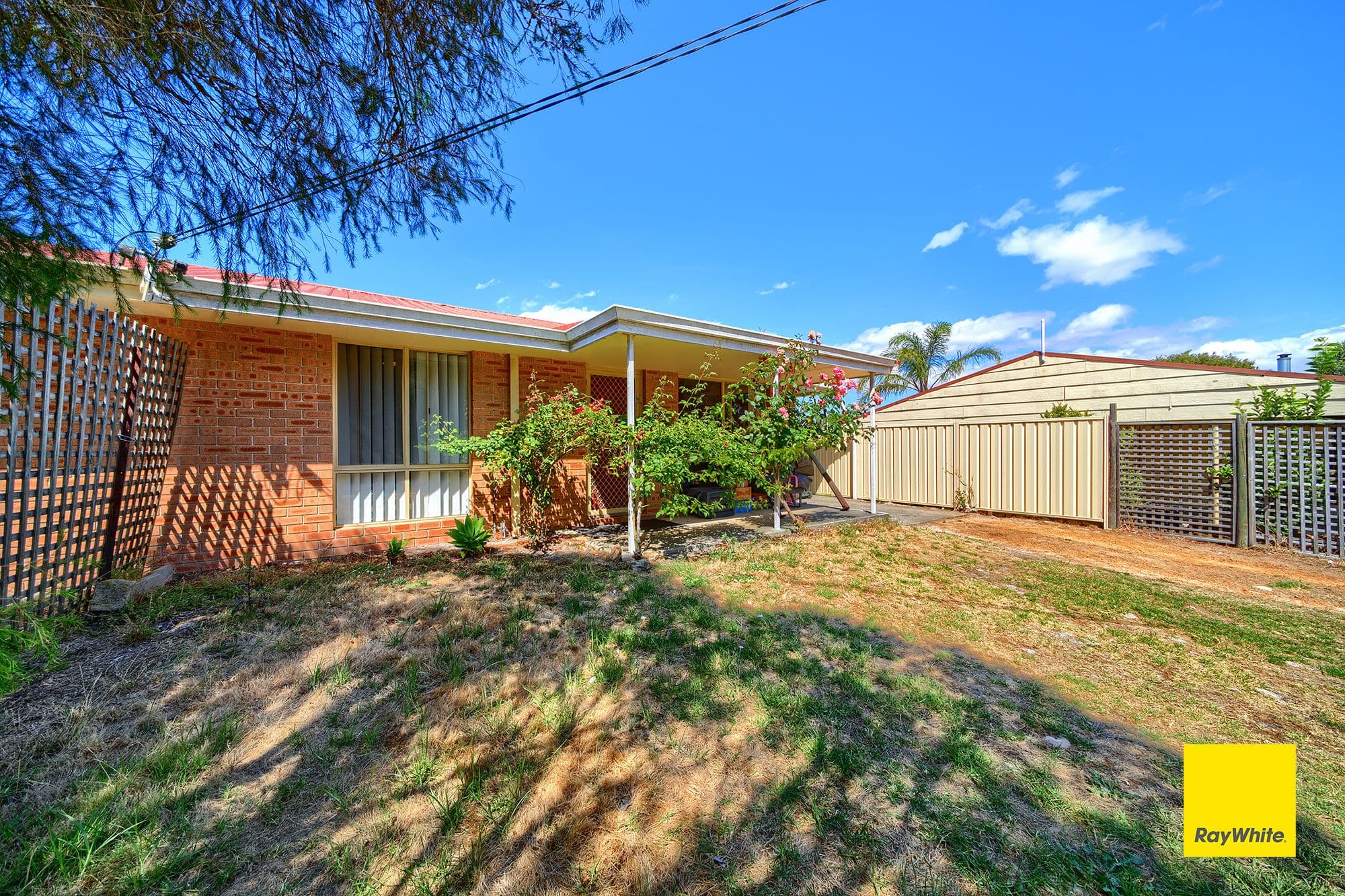 86B Hassell Street, Mount Barker WA 6324, Mount Barker - Image 1