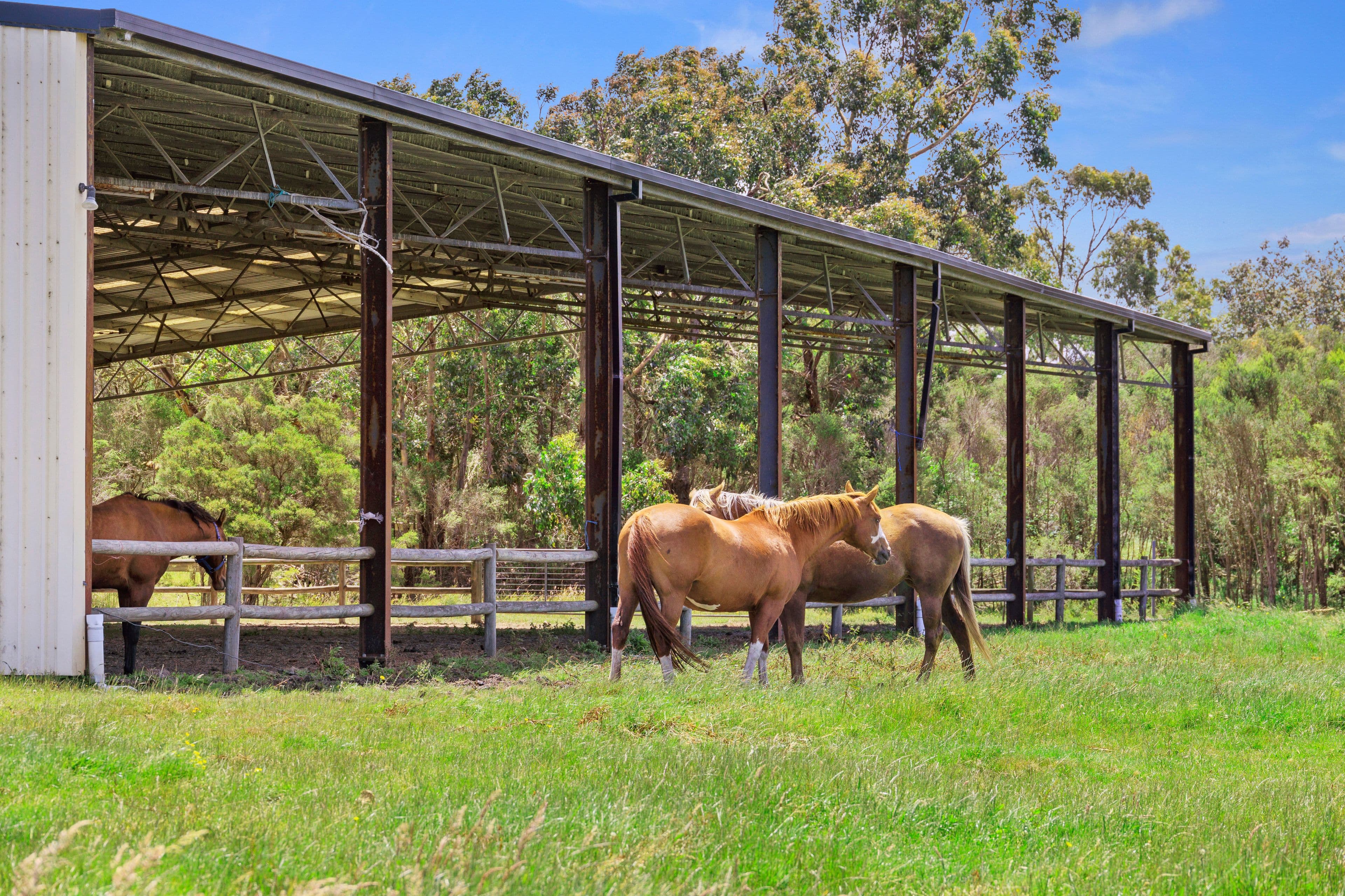 195 Wallis Road, Inverloch VIC 3996, Inverloch - Thumbnail 3