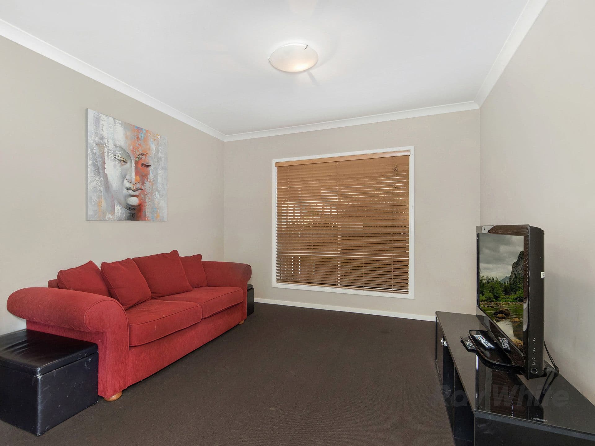 53 Ellenborough Avenue, Ormeau Hills QLD 4208, Ormeau Hills - Thumbnail 6