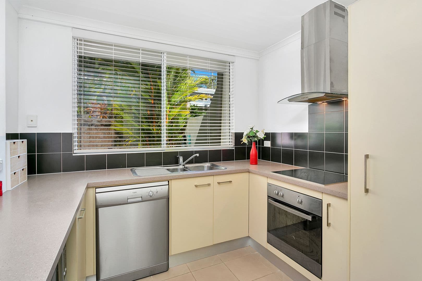 38 Petersen Street, Trinity Beach QLD 4879, Trinity Beach - Thumbnail 3