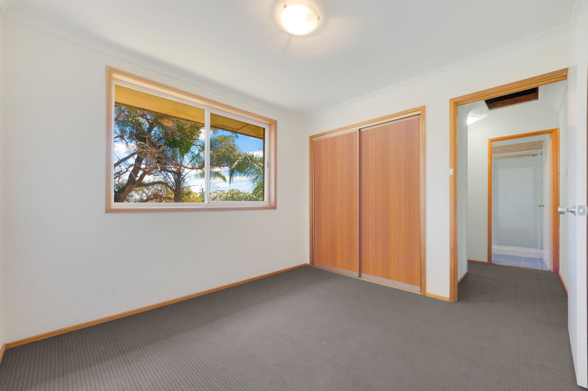 13 Rushes Place, Minto - Thumbnail 5