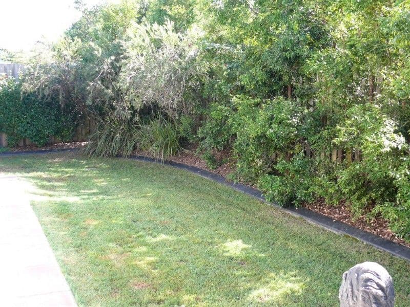 12 Bahkeeta Street, OXENFORD QLD 4210, Oxenford - Thumbnail 2