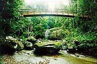 34 Cicada Close, BUDERIM QLD 4556, Buderim - Thumbnail 7