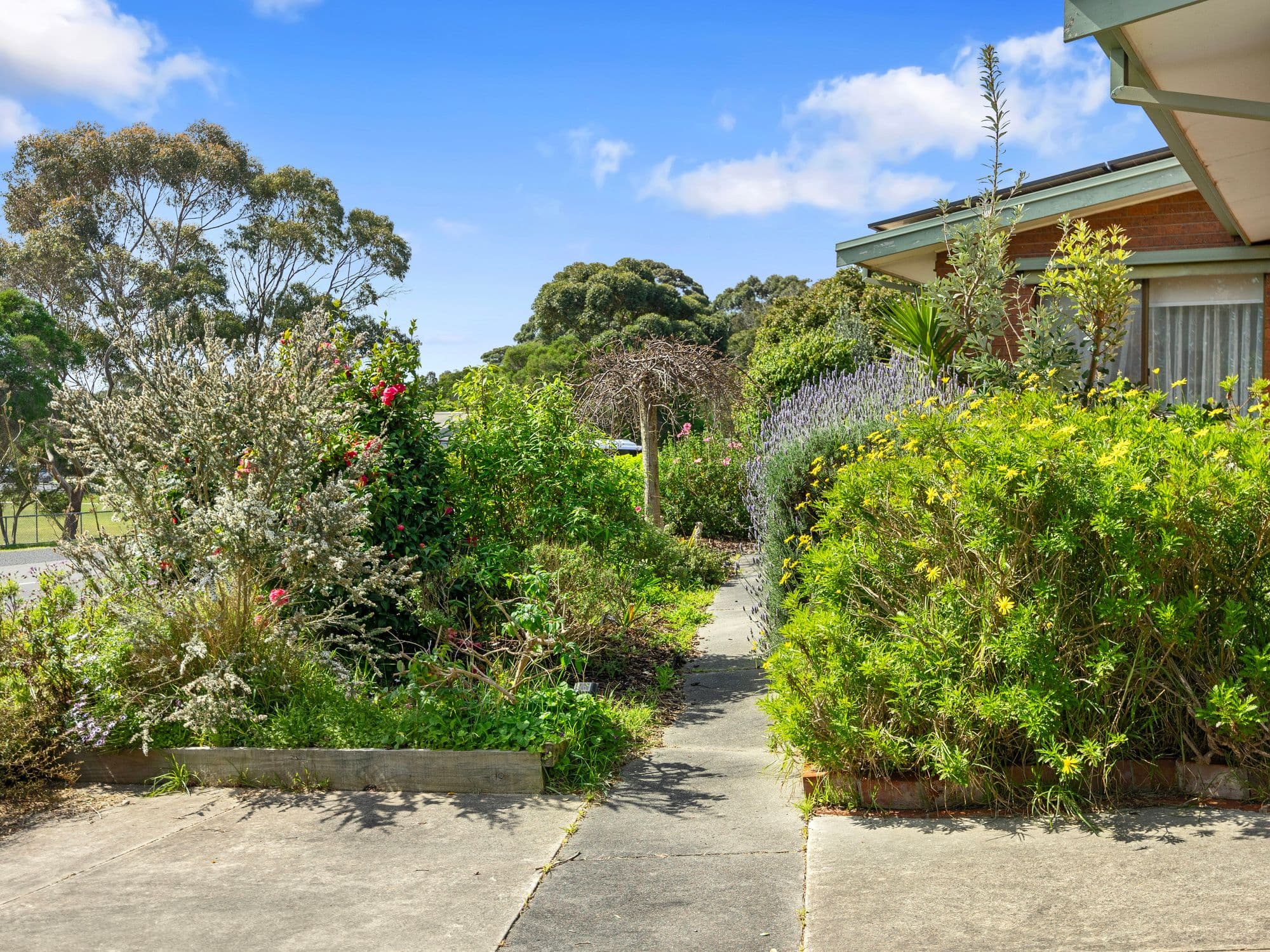 7 Baillieu Street, Wonthaggi VIC 3995, Wonthaggi - Thumbnail 2