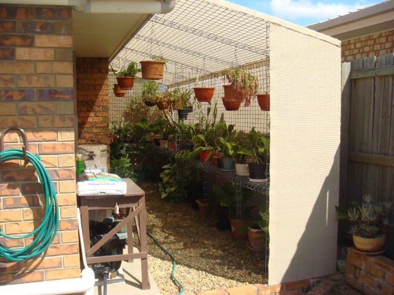 18 Potoroo Place, DOOLANDELLA QLD 4077, Doolandella - Thumbnail 5