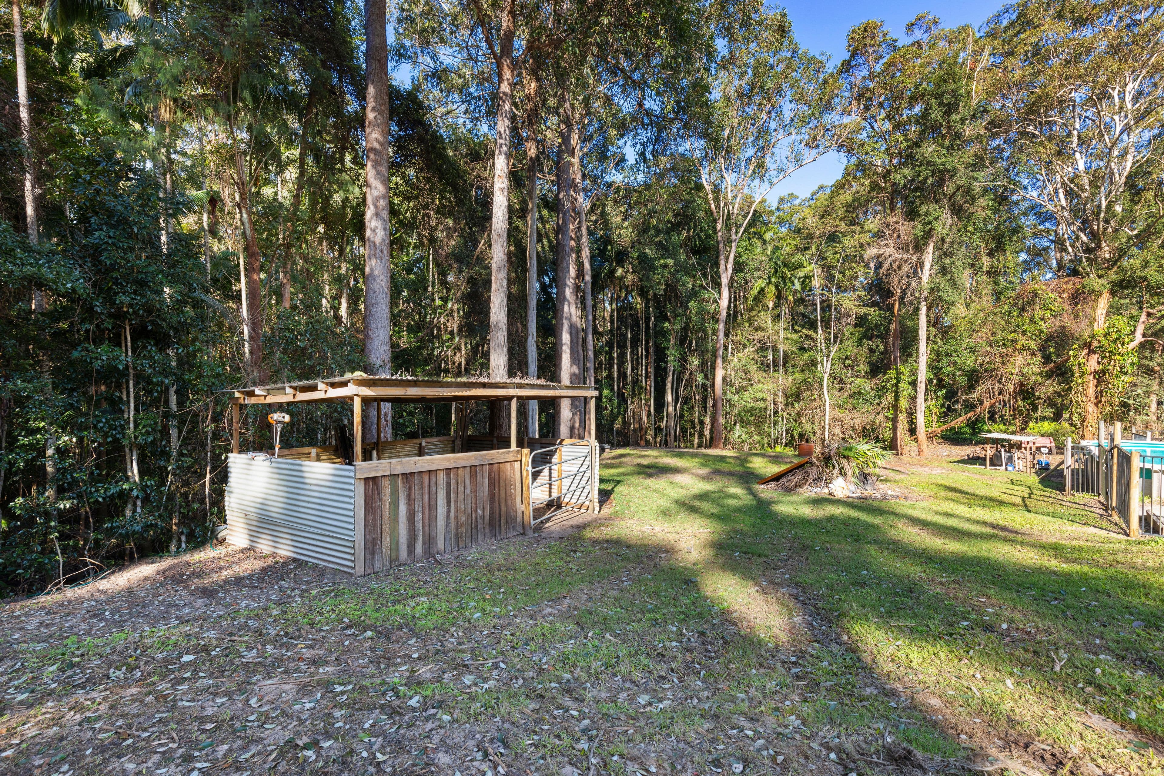 12 Guilfoyle Court, Mooloolah Valley QLD 4553, Mooloolah Valley - Thumbnail 8