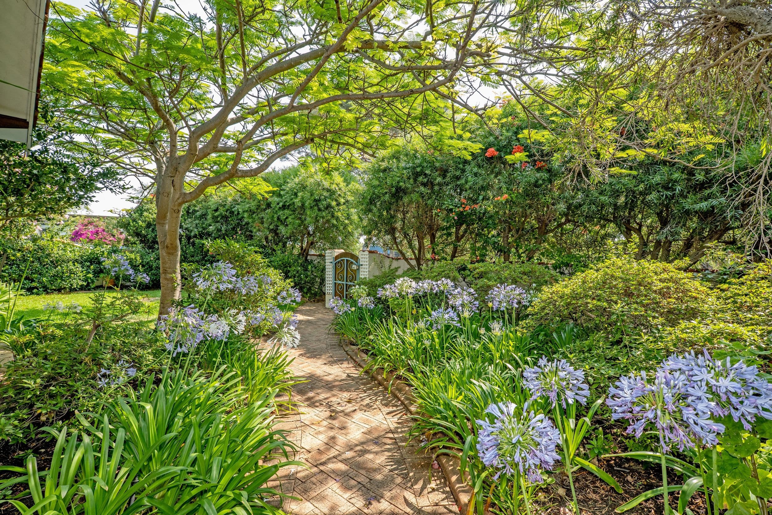 6 Kirkdale Avenue, Floreat WA 6014, Floreat - Thumbnail 6