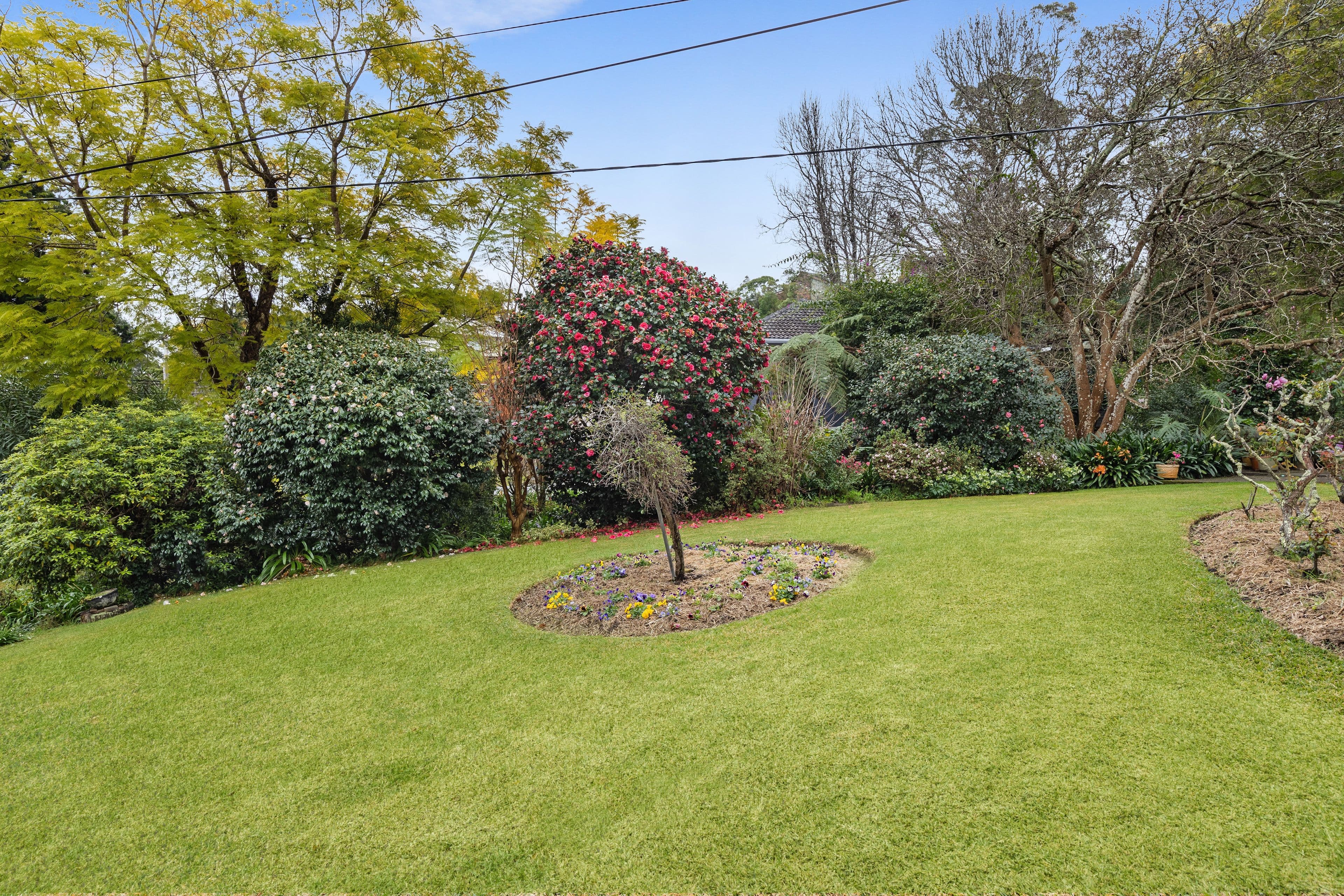 9 Wongalee Avenue, Wahroonga NSW 2076, Wahroonga - Thumbnail 8