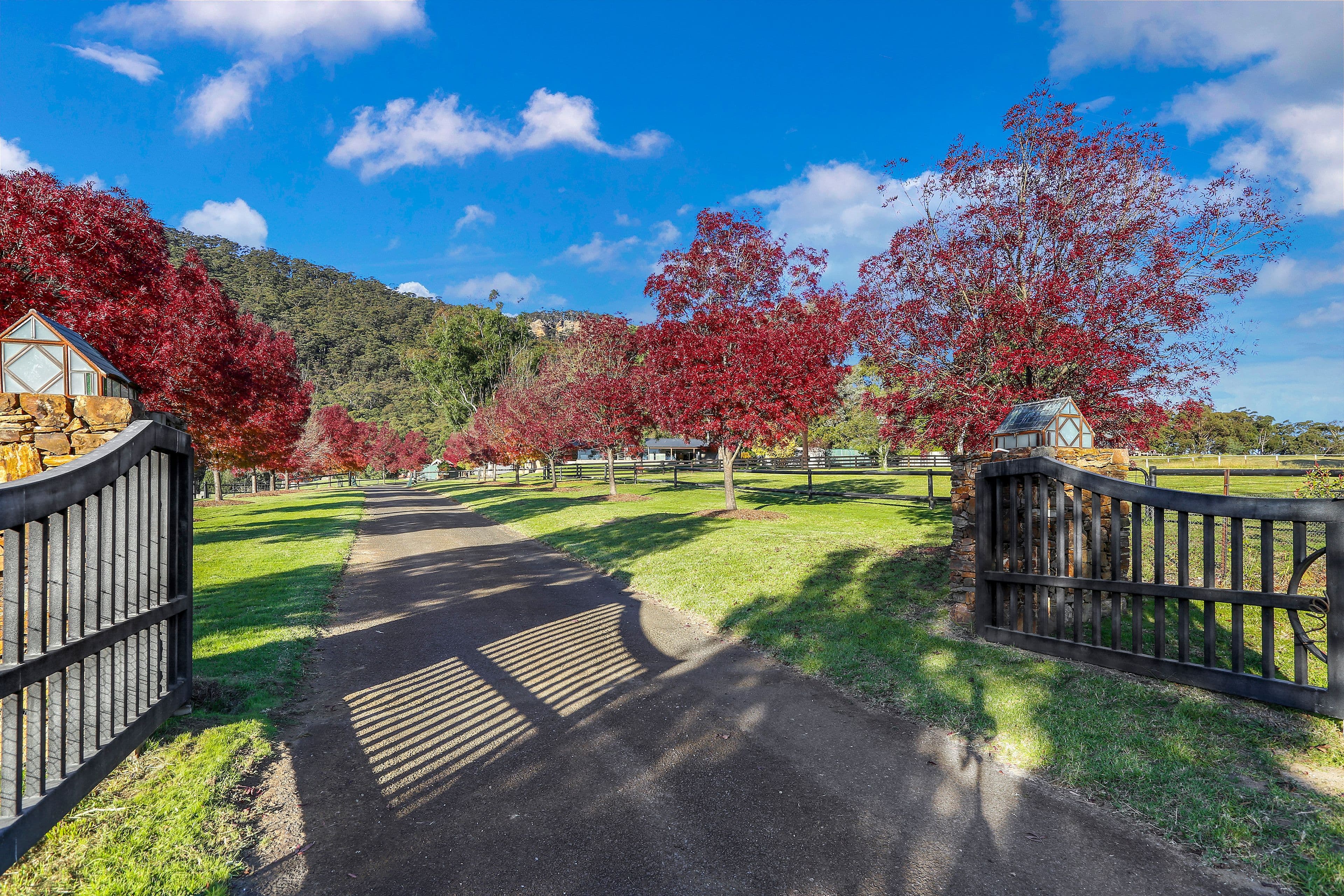 291 Coxs River Road, Little Hartley NSW 2790, Little Hartley - Thumbnail 3