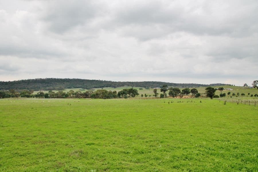 64 (Lot 16) Wambanumba Drive, YOUNG NSW 2594, Young - Thumbnail 2