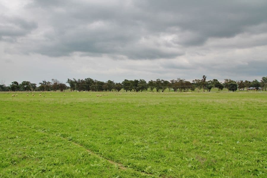64 (Lot 16) Wambanumba Drive, YOUNG NSW 2594, Young - Thumbnail 5
