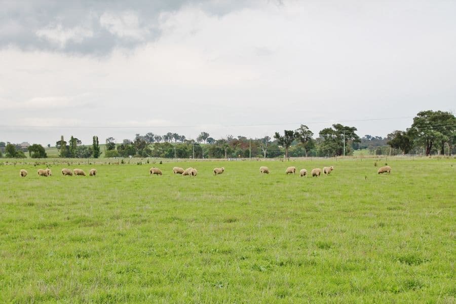 64 (Lot 16) Wambanumba Drive, YOUNG NSW 2594, Young - Thumbnail 8
