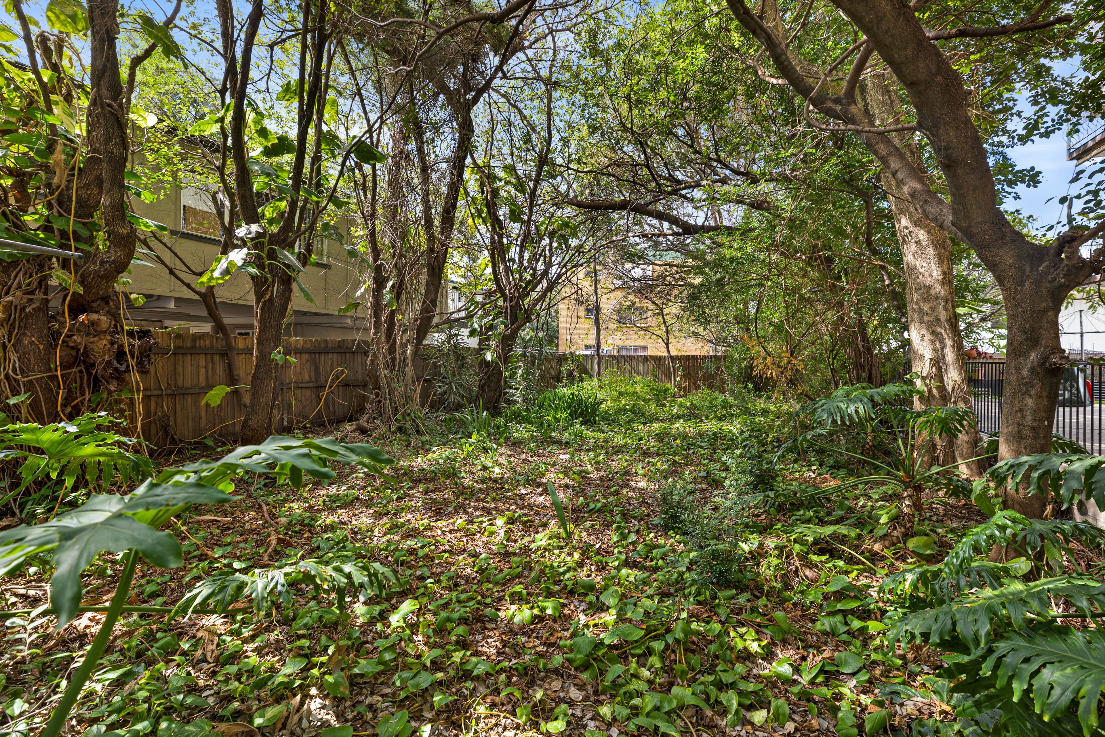 87 Junction Road, Clayfield QLD 4011, Clayfield - Thumbnail 5