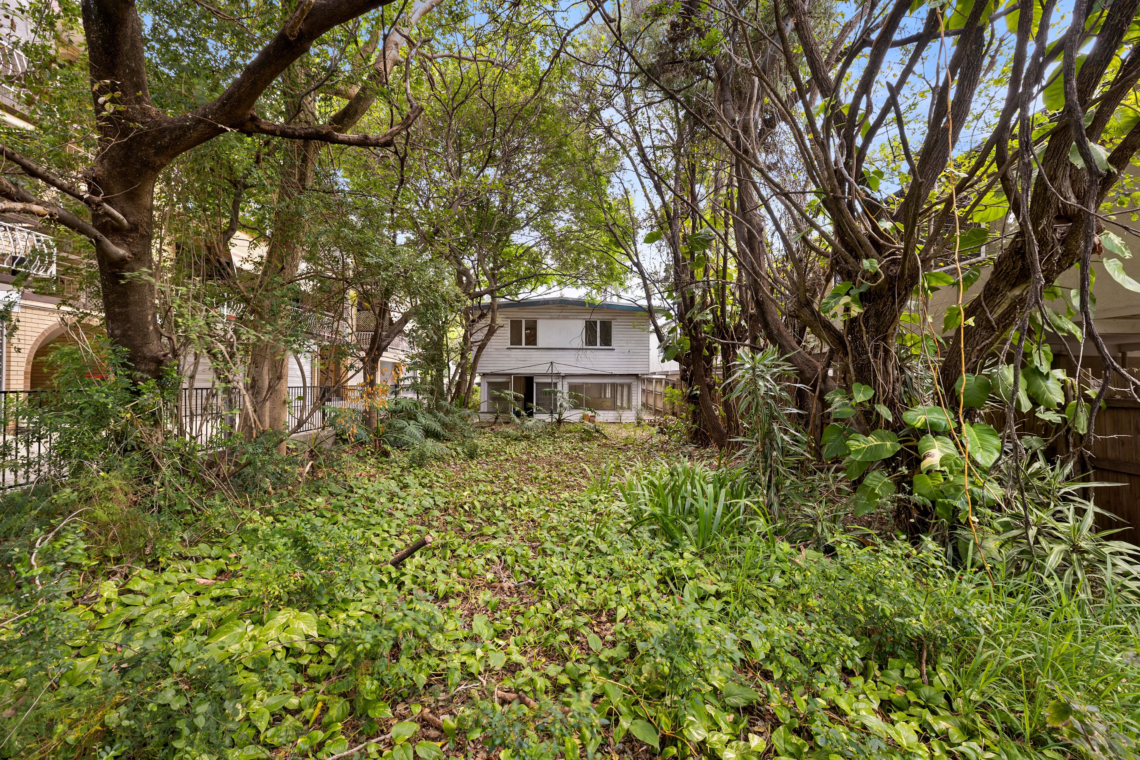 87 Junction Road, Clayfield QLD 4011, Clayfield - Thumbnail 6