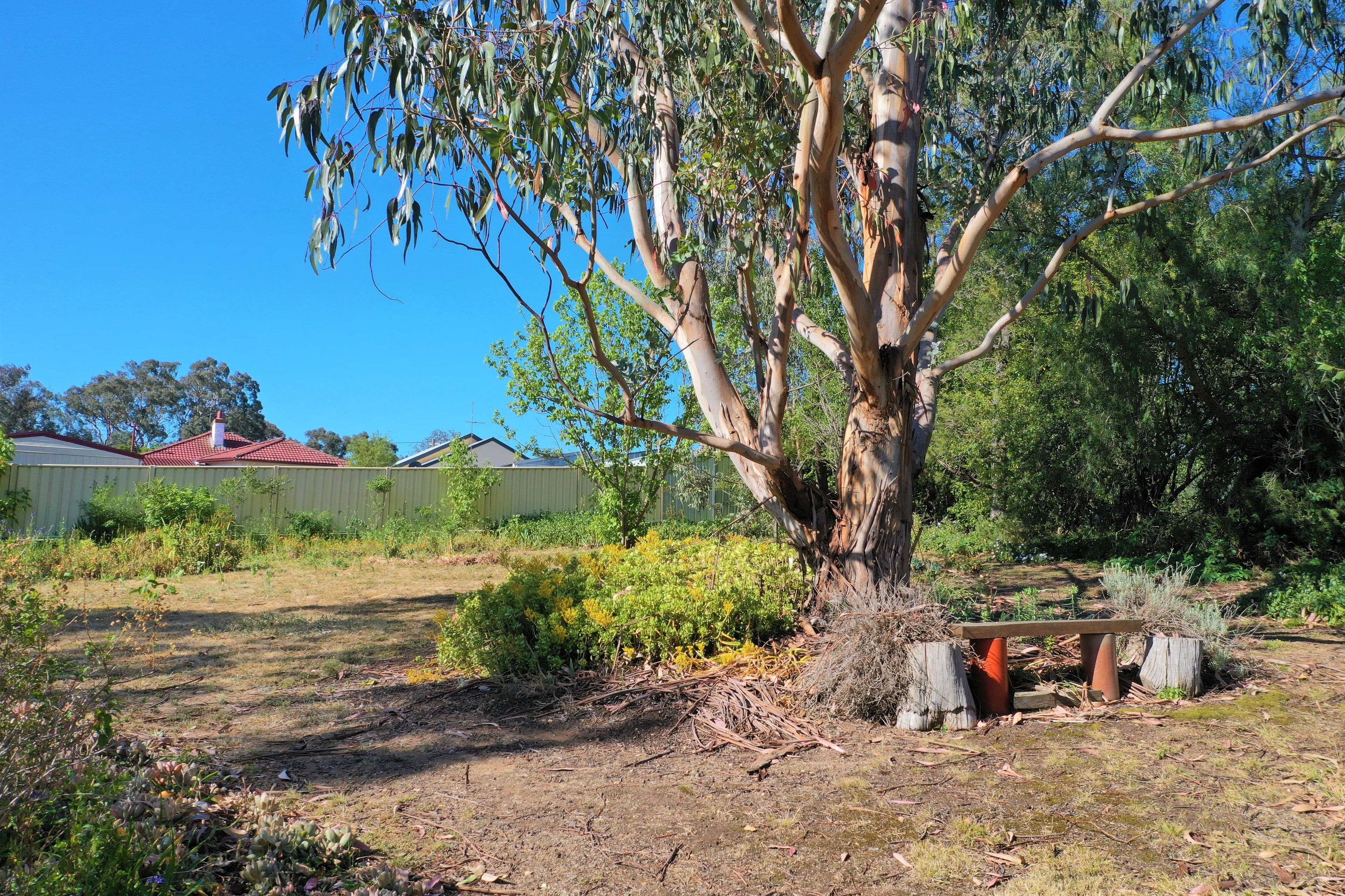 46 Deccan Street, Goulburn NSW 2580, Goulburn - Thumbnail 6