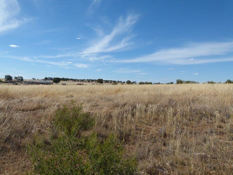 1 Nancye Place, FORBES NSW 2871, Forbes - Image 1