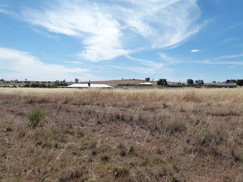 1 Nancye Place, FORBES NSW 2871, Forbes - Thumbnail 2