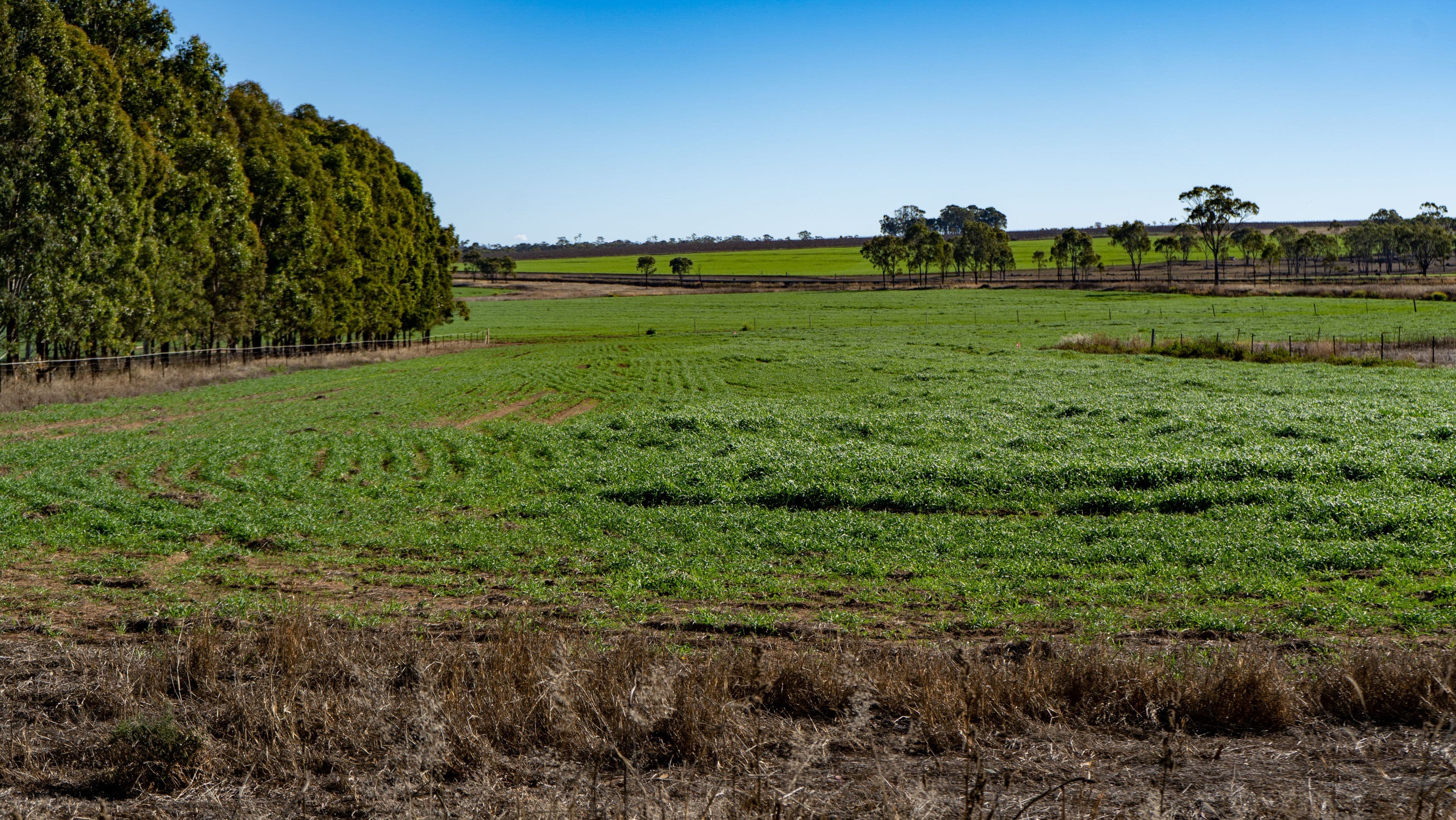 750 Dalrymple Creek Road, Ellinthorp QLD 4362, Ellinthorp - Thumbnail 3