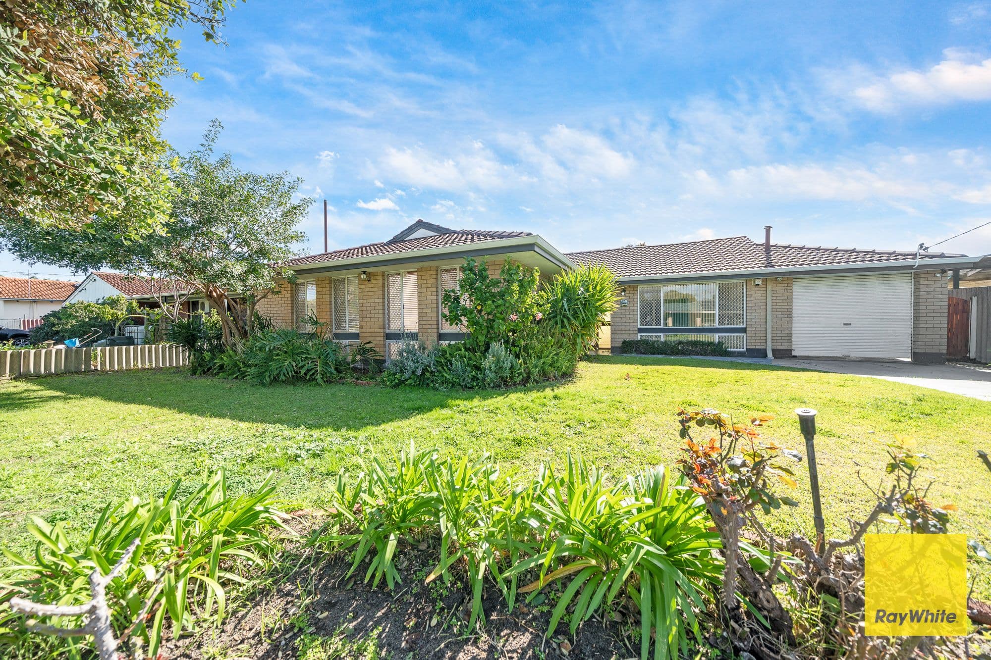 17 Collingwood Street, Dianella WA 6059, Dianella - Image 1