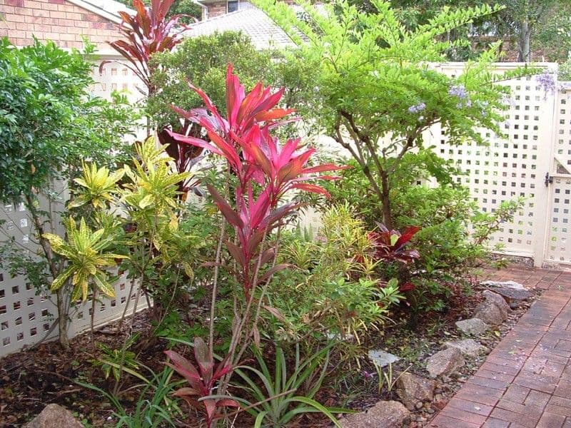 3-265 Main Road, WELLINGTON POINT QLD 4160, Wellington Point - Thumbnail 4