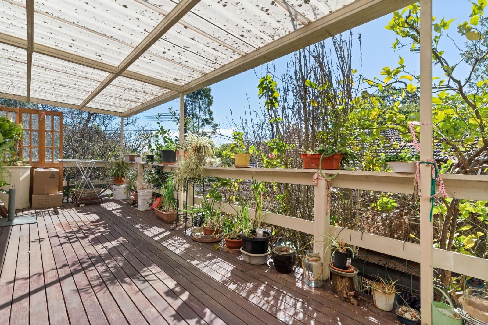 49 Fullers Road, Chatswood - Thumbnail 6