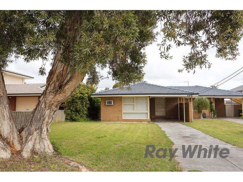 4b Ochiltree Way, KARDINYA WA 6163, Kardinya - Thumbnail 5