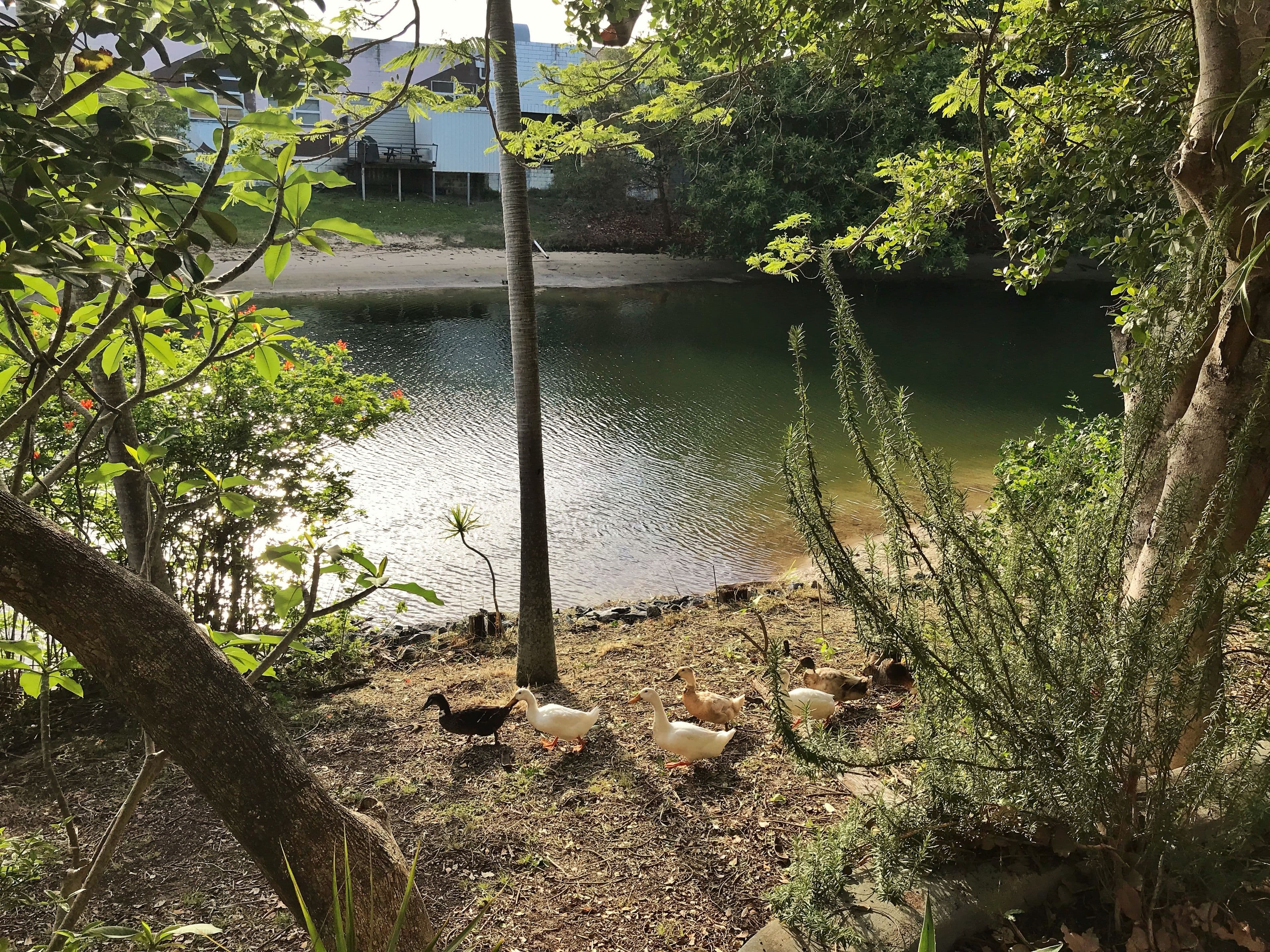 11 Orvieto Avenue, Mermaid Waters QLD 4218, Mermaid Waters - Thumbnail 8