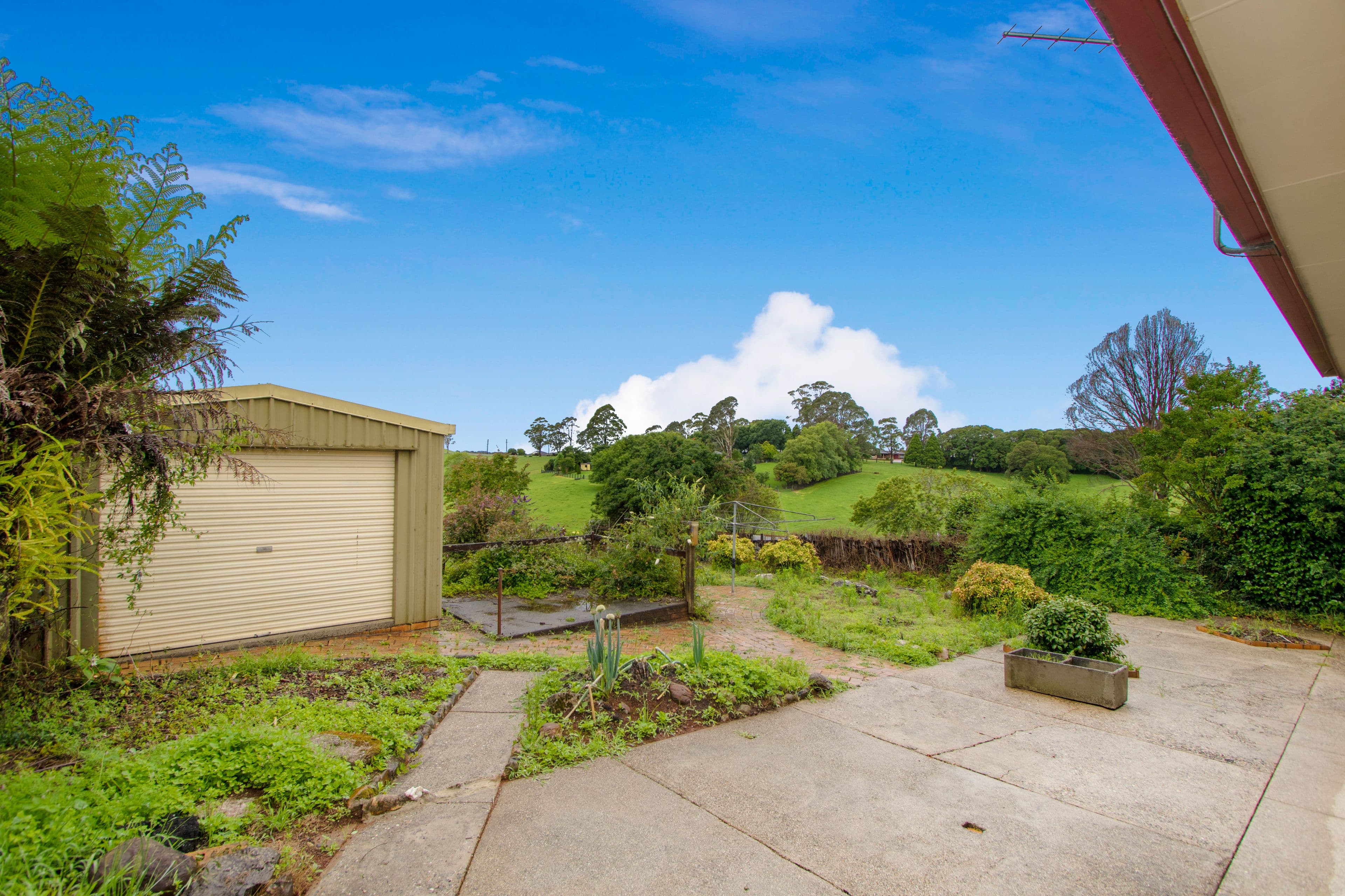 16 Kurrajong Street, Dorrigo NSW 2453, Dorrigo - Thumbnail 4