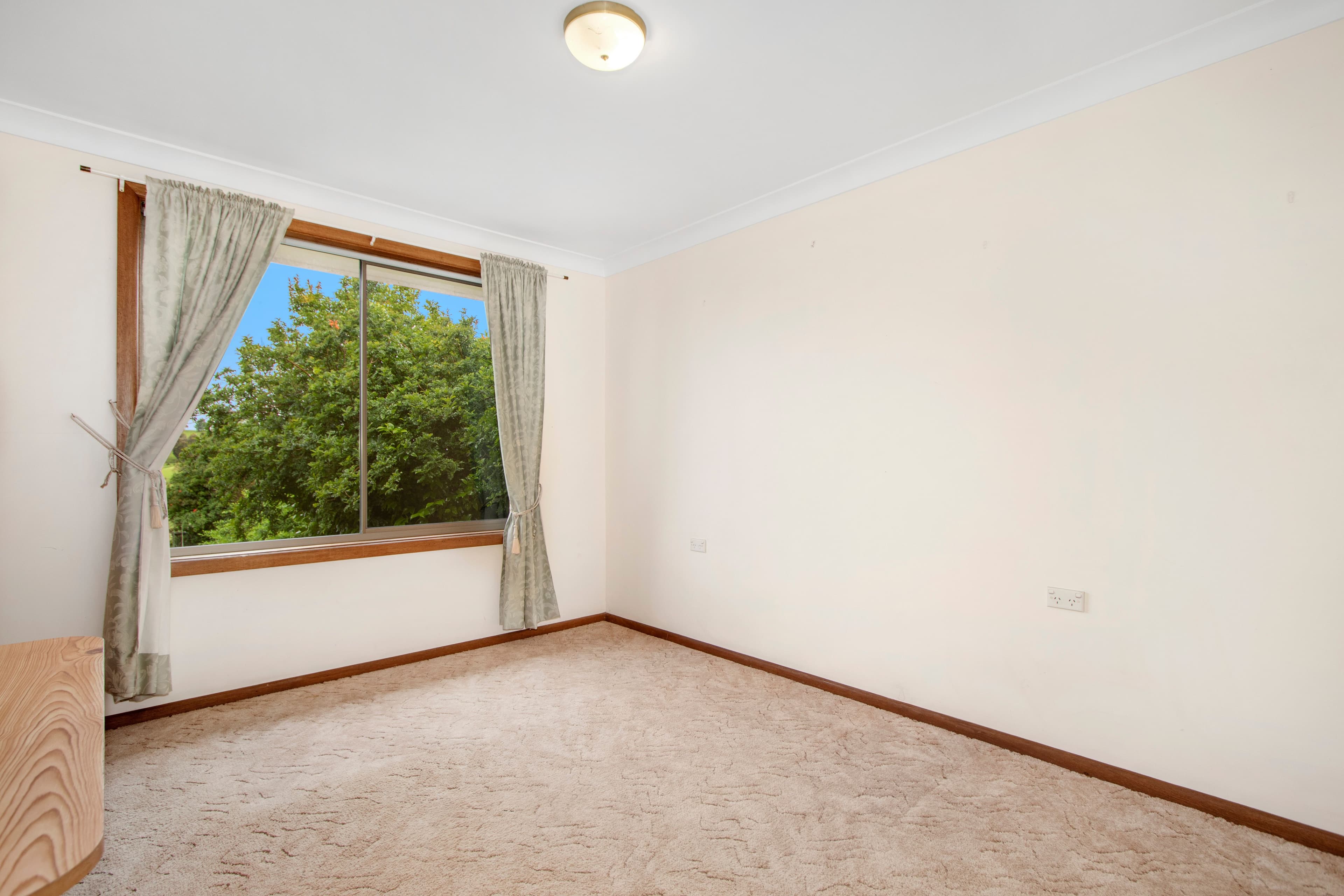 16 Kurrajong Street, Dorrigo NSW 2453, Dorrigo - Thumbnail 5