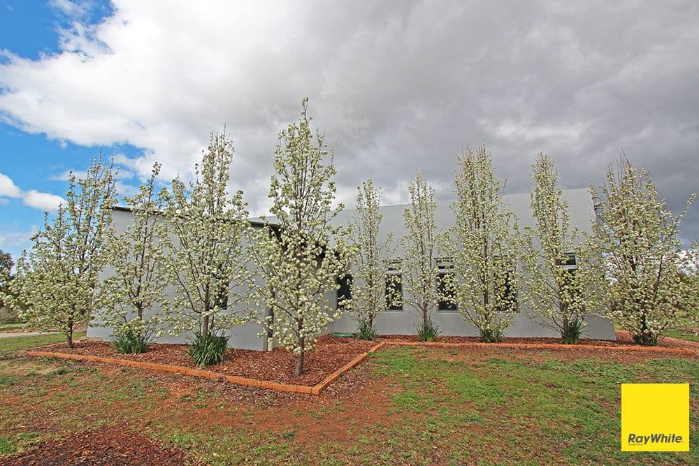 80 McDonnell Drive, Bungendore NSW 2621, Bungendore - Thumbnail 8
