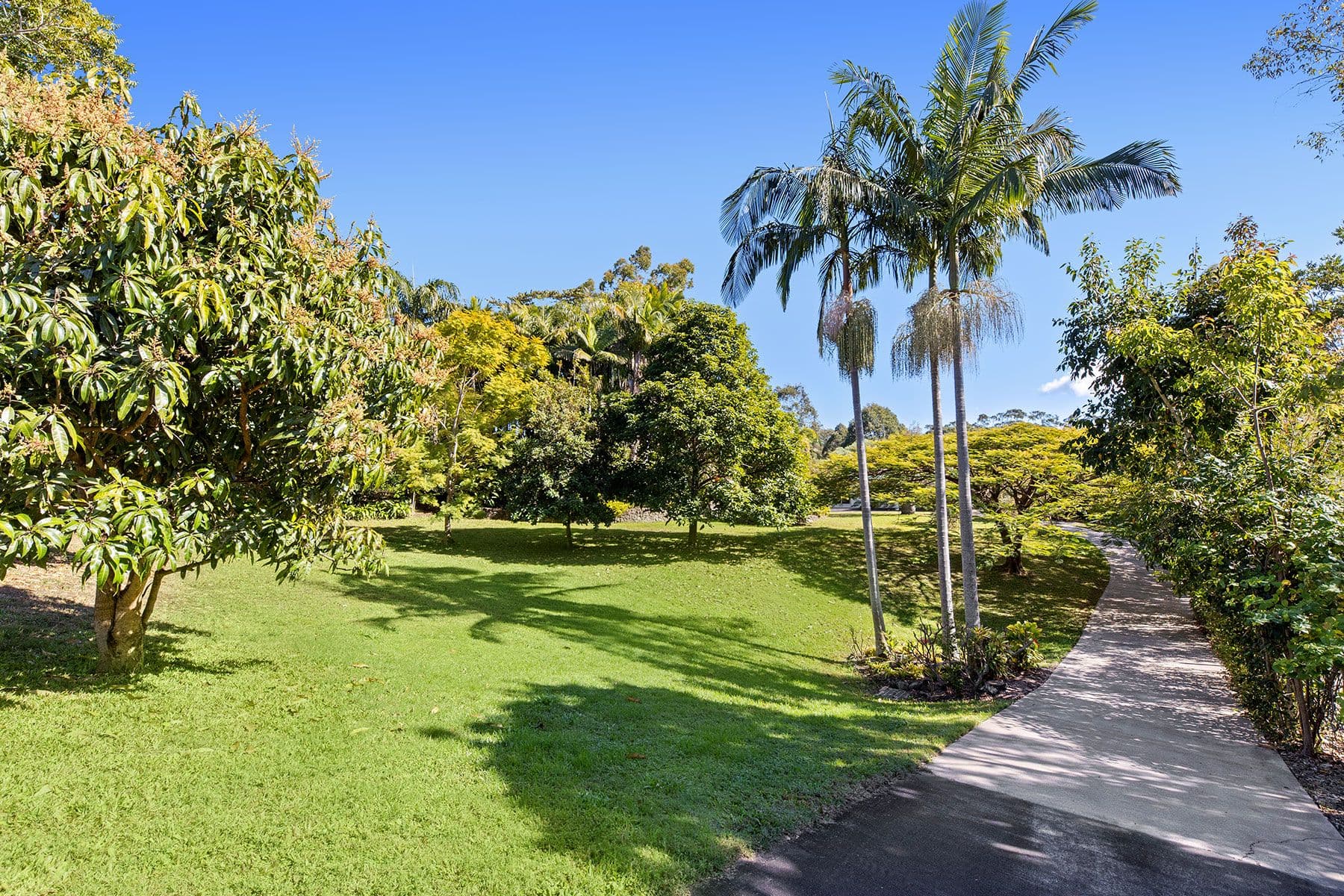 95 Cudgerie Drive, Black Mountain QLD 4563, Black Mountain - Thumbnail 5