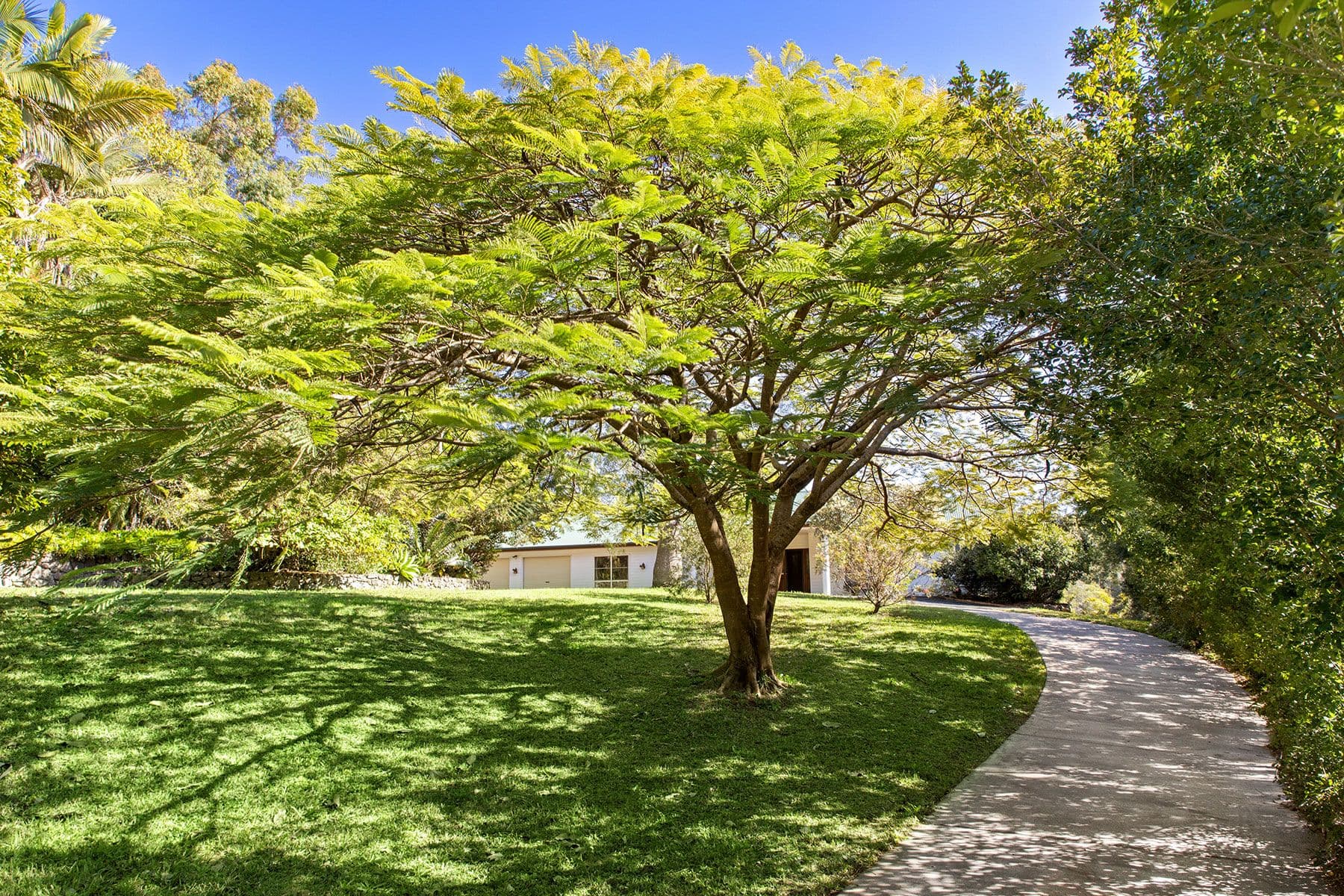 95 Cudgerie Drive, Black Mountain QLD 4563, Black Mountain - Thumbnail 6