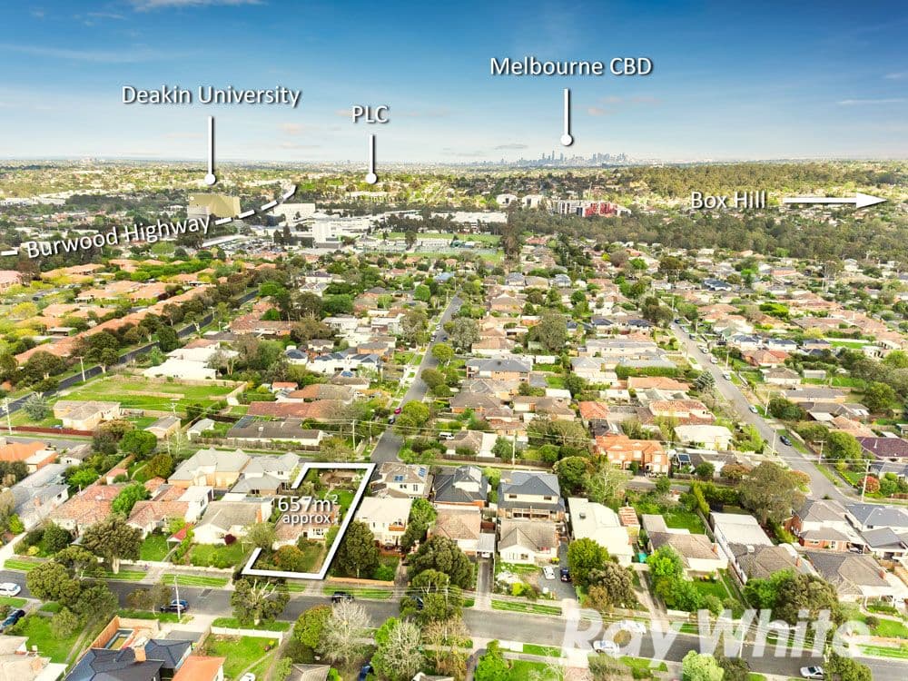 24 Clanbrae Avenue, Burwood VIC 3125, Burwood - Thumbnail 2