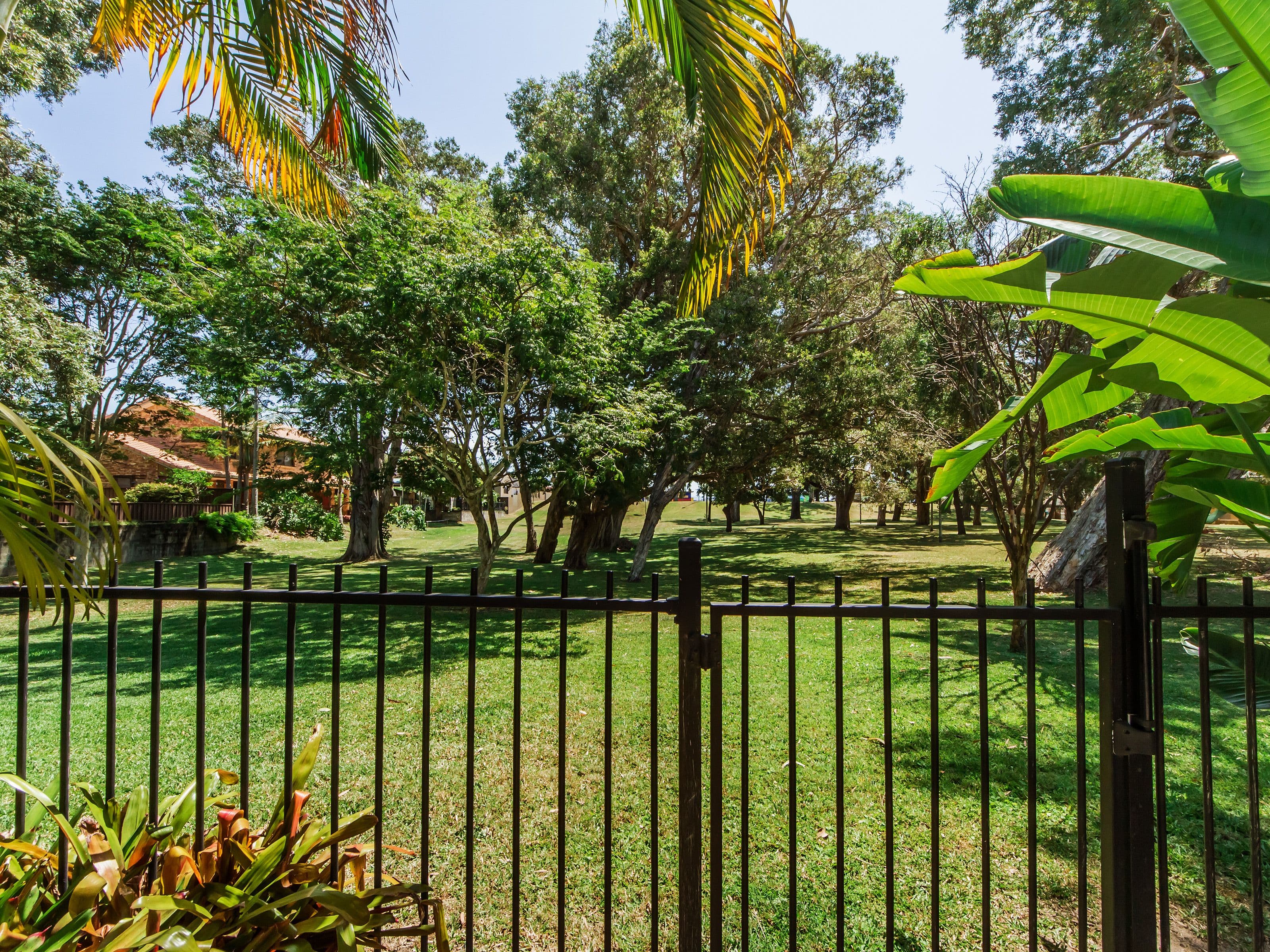8 Wildwood Court, Surfers Paradise QLD 4217, Surfers Paradise - Thumbnail 5