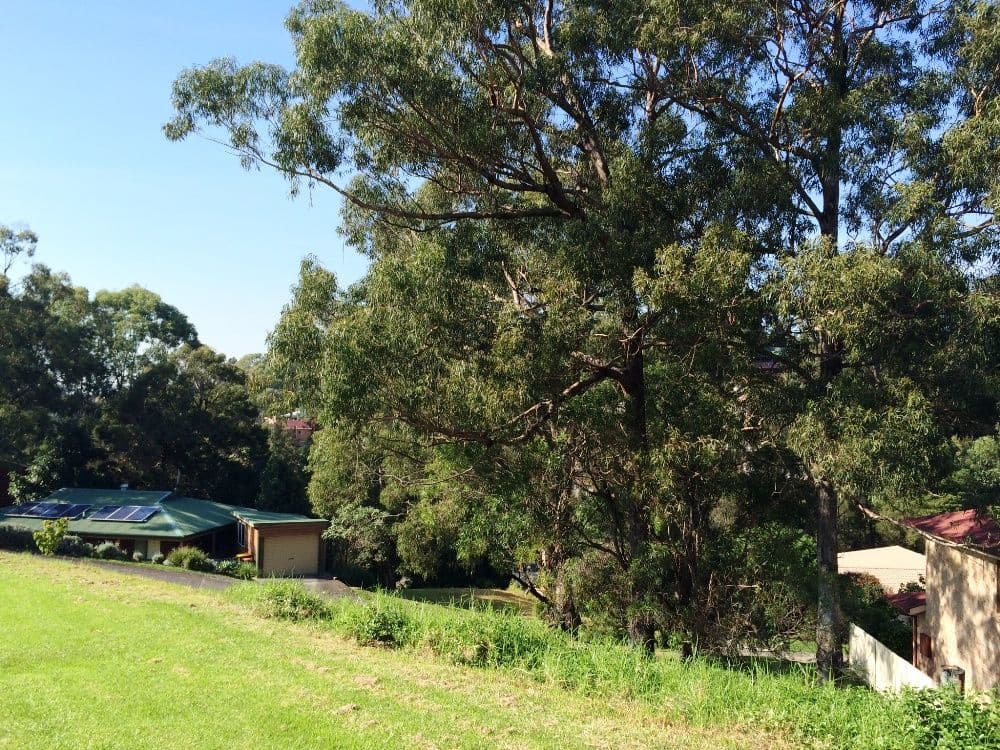 39 Booreea Boulevarde, CORDEAUX HEIGHTS NSW 2526, Cordeaux Heights - Thumbnail 4