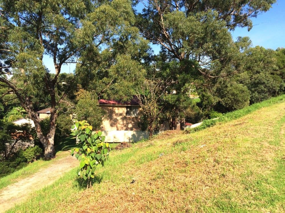 39 Booreea Boulevarde, CORDEAUX HEIGHTS NSW 2526, Cordeaux Heights - Thumbnail 6