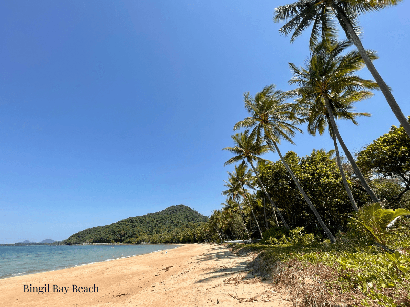 39 Cutten Street, Bingil Bay QLD 4852, Bingil Bay - Thumbnail 6