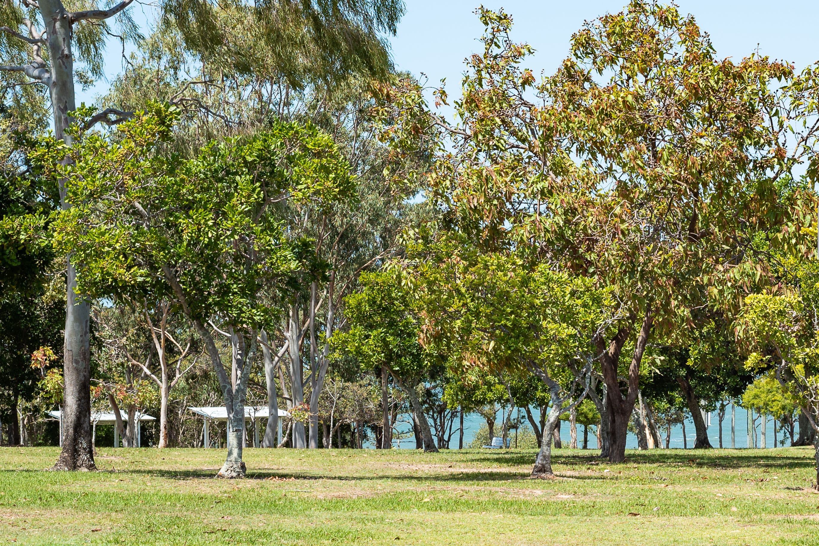 15 Ernest Street, Woody Point QLD 4019, Woody Point - Thumbnail 3
