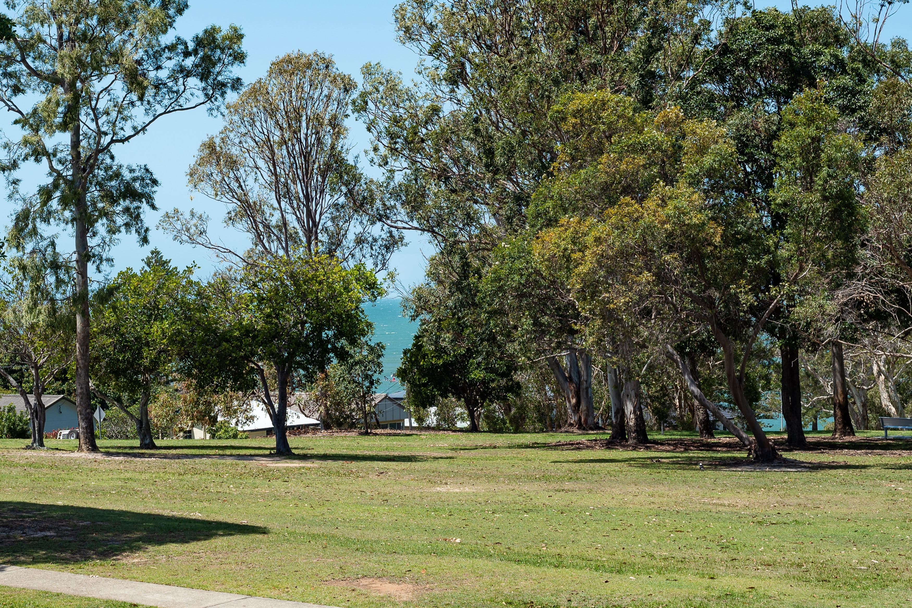 15 Ernest Street, Woody Point QLD 4019, Woody Point - Thumbnail 6